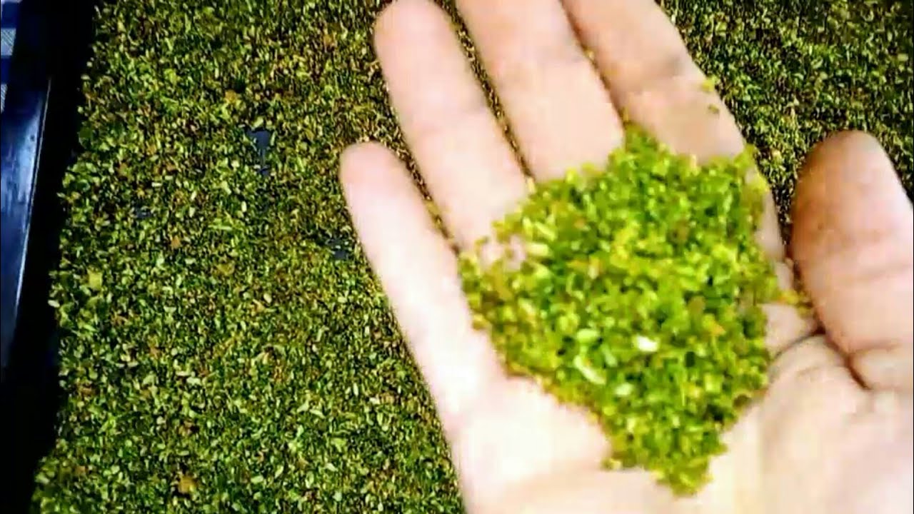 تحويل الحمص لفستق حلبي لا يوجد فرق ابدا بينهم استخدميه لكافة الحلويات😍😍😍