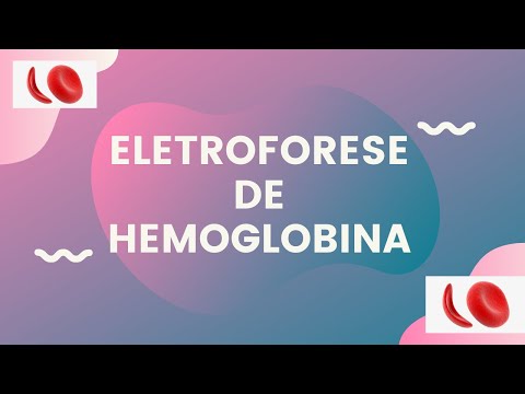 Eletroforese de Hemoglobina