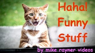 Amazing Funny Animals! make you Laugh Pets Cats Dogs! Happy People Do Funny Stuff! by mike rayner videos 74,903 views 5 years ago 1 minute, 42 seconds