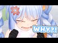 Pekora Can't Believe Someone Would Bully Her in Apex【Hololive | Usada Pekora】