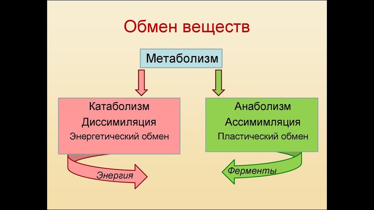 Что Такое Фото Процесс