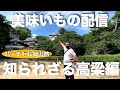 藤やんうれしーがいいものをおみまいするバーチャル旅【岡山県高梁市編】