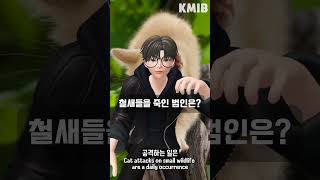 철새들을 죽인 범인은? screenshot 5