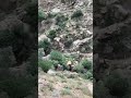 لميلودي سحتوت في أغنية ستاتي كانت طوموبيلات