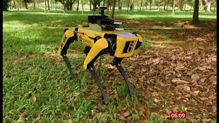 Coronavirus (Covid-19) Singapore to begin easing lock down & robot dog - BBC News - 12th May 2020