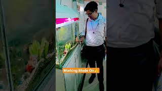 Orange Fish #cute #fish #song #shorts  #ajeetavirajofficial