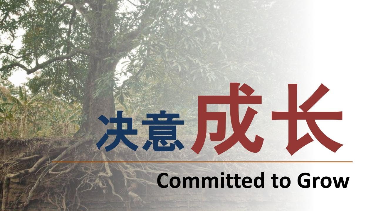 23 Nov 2025 -   决意成长 | 林函辉牧师