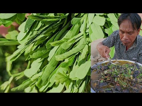 ผลสลากกินแบ่งรัฐบาล วันที่ 1 พย. 2567