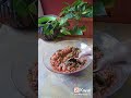 خلطة محشي الممبار الجبارة محشي Food اكلات خلطة 