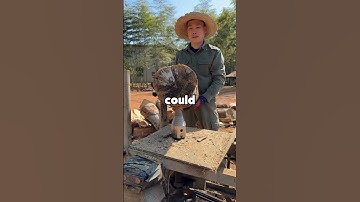 Military personnel of Reddit, what