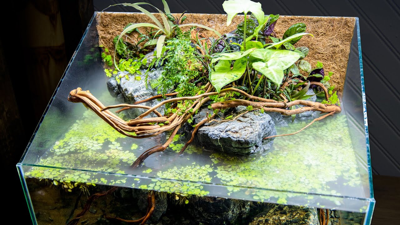DIY Paludarium with Foggy Waterfall YouTube