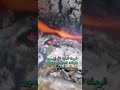 فوائد الرماد لتبييض وتفتيح البشرة 