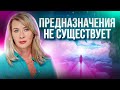 Предназначения не существует? Евгения Павловская