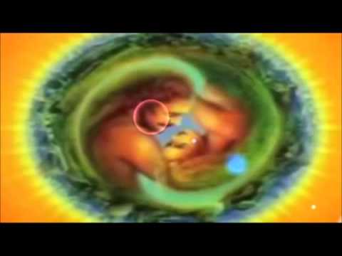 COMO CONECTAR con tu ALMA GEMELA - YouTube