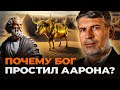 Аарон сделал ЗОЛОТОГО ТЕЛЬЦА. Почему Бог не наказал его? | Феликс Понятовский