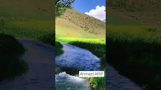 Ahmed Ari̇f Hasretinden Prangalar Eskittim