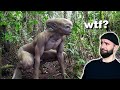 Wie KI-Kanäle YouTube zerstören | DIE WEISE EULE exposed