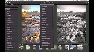 Styles and Presets in Capture One Pro 7 | Phase One