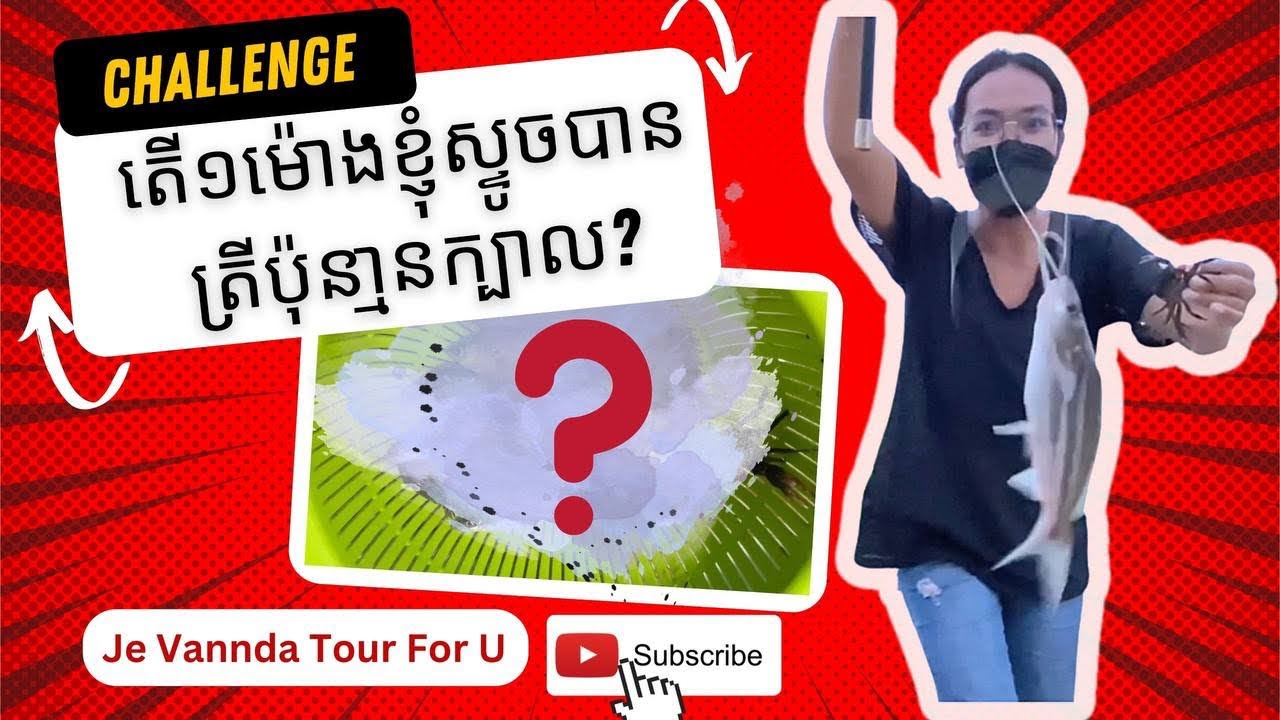 challenge-how-many-fish-can-i-fishing-in-one-hour
