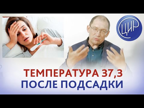 Температура 37,3 после подсадки - это проблема? Температура при беременности на ранних сроках.