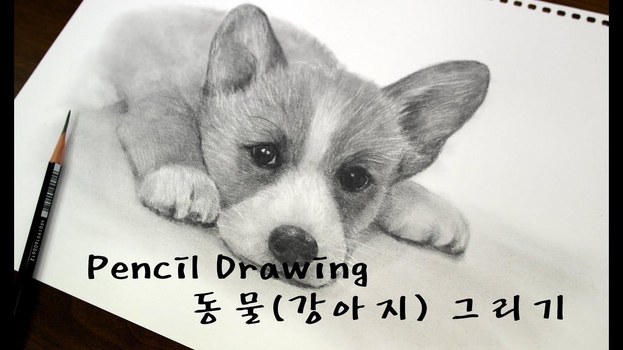 40분 연필그림 - 동물(강아지)그리기 [ Drawing animal/How to draw a dog ]