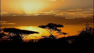 Enoo Napa, Zipho - High in Your Love