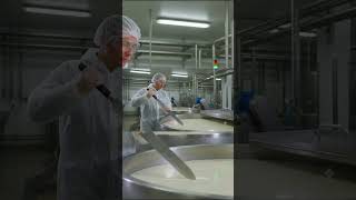 The Craft of Creamery