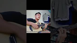 Dahon na laya - cover Willy L - halamana l herbal na utan