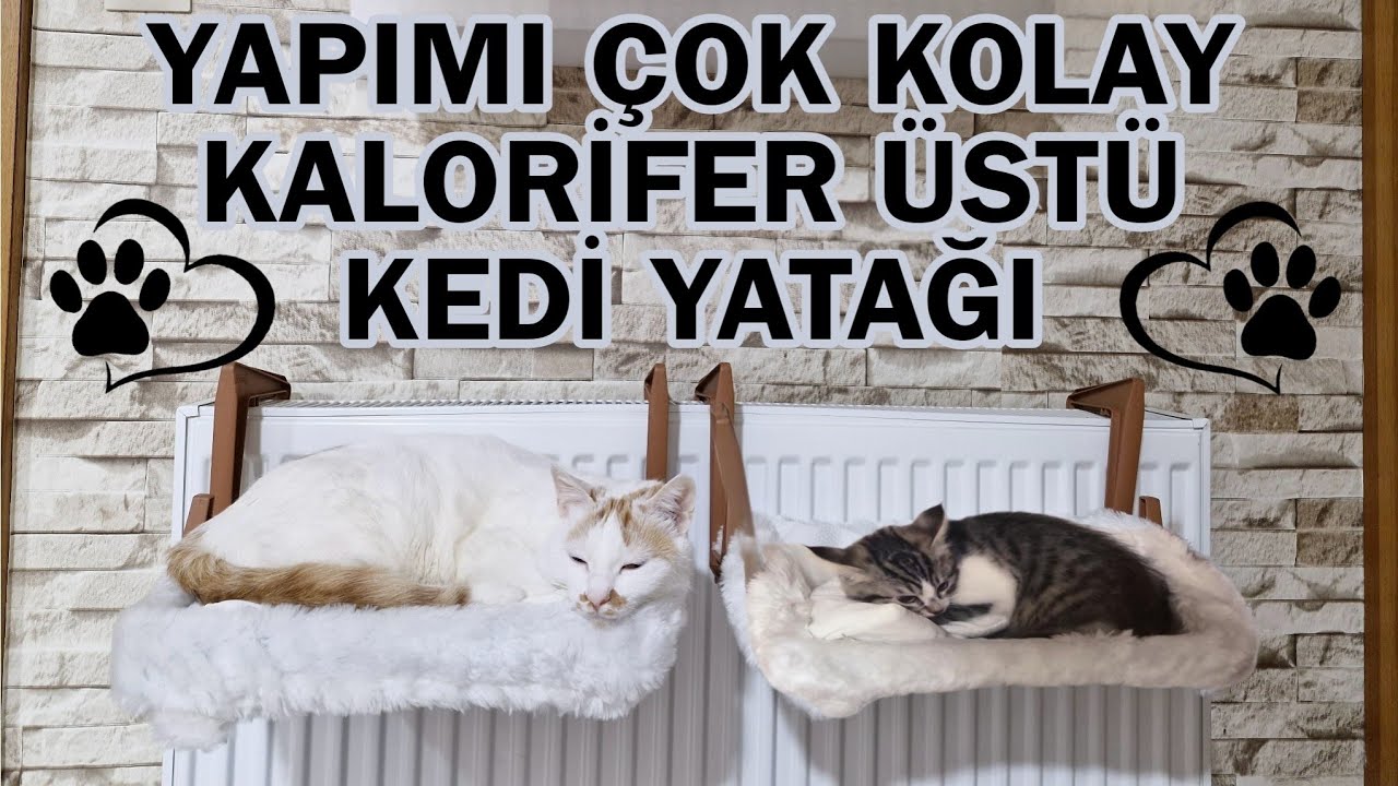 KEDİLERİM BAYILDI ! 😻 KALORİFER PETEĞİ ÜSTÜ SICACIK KEDİ YATAĞI YAPIMI
