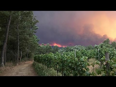 Huge forest fire kills dozens in central Portugal