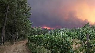 Huge forest fire kills dozens in central Portugal