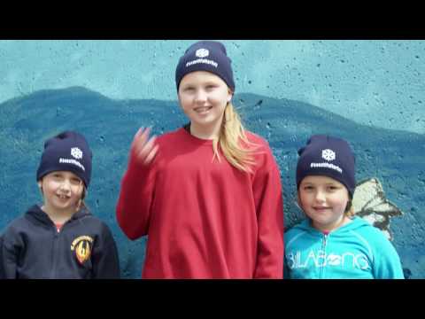 Town of Torbay Community Video