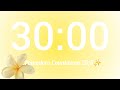 30 min Pomodoro💛|Summer Session🌼|Silent Pomodoro✨️|Butter Yellow Summer Theme Countdown🍍