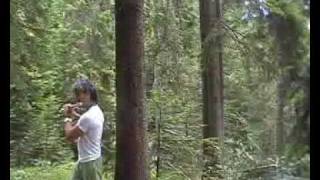 Flute,Flauto traverso nel bosco...