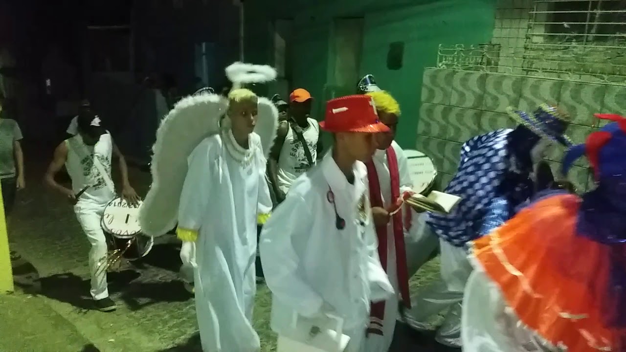 Urso esperança saindo de casa para a passarela