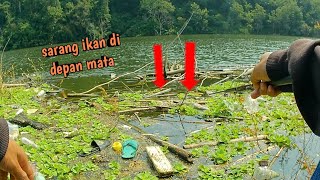 SIAPA SANGKA TERNYATA DI SINI SARANGNYA REDDEVIL‼️ mancing nahol