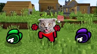 Distraction dance in Minecraft. Pushcats Cat cartoon animation