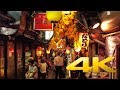 Walking around Shinjuku by night - Tokyo - 新宿 - 4K Ultra HD