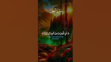 قرآن كريم بصوت جميل جدا #قرآن #اكسبلور #قرآن_كريم