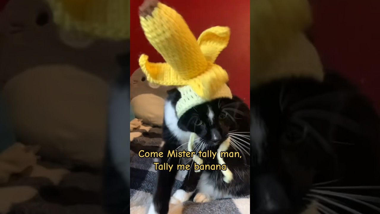 Crochet banana cat hat 