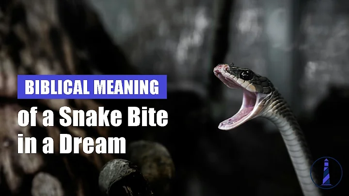 Biblical Meaning of a Snake Bite in a Dream: Spiritual Symbolism Explained