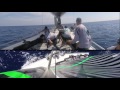 52 super series 2016  tp52 world championship  practice race