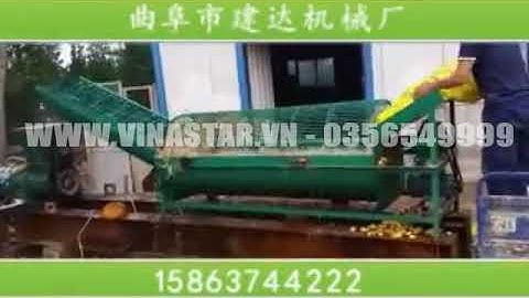 máy cửa củ quả, máy rửa củ nghệ tươi