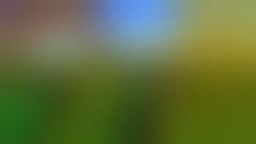 [Mage] Daggerfall Unity [36] | Bewitching Adventures | Witch Covens | Imprisoned Witch | PR