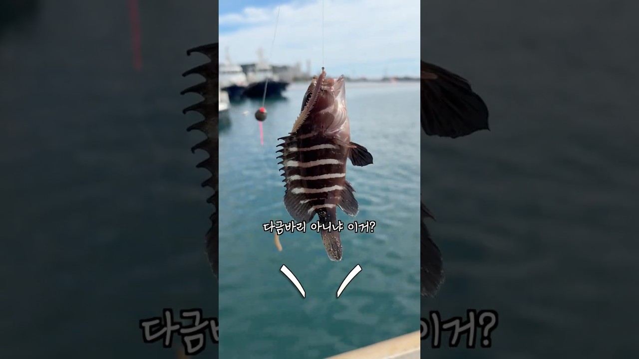 꽝이 없는 낚시