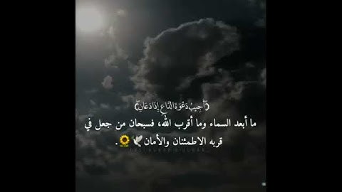 آيات من القرآن الكريم ربيع قلوبنا ونور صدورنا.
