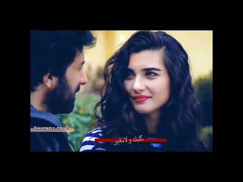 حالات واتساب حب مصطفى الربيعي احسك انت اني 2022