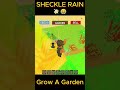 SHECKLE RAIN Took Over Grow a Garden 💸😂 #roblox #growagarden