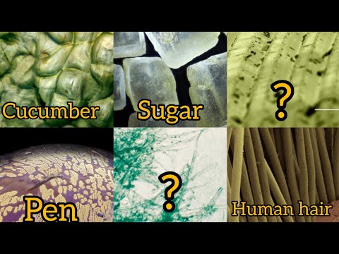 Everyday objects under electron microscope