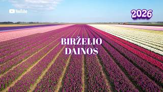 Birželio Dainos | Lietuviška Muzika 2026